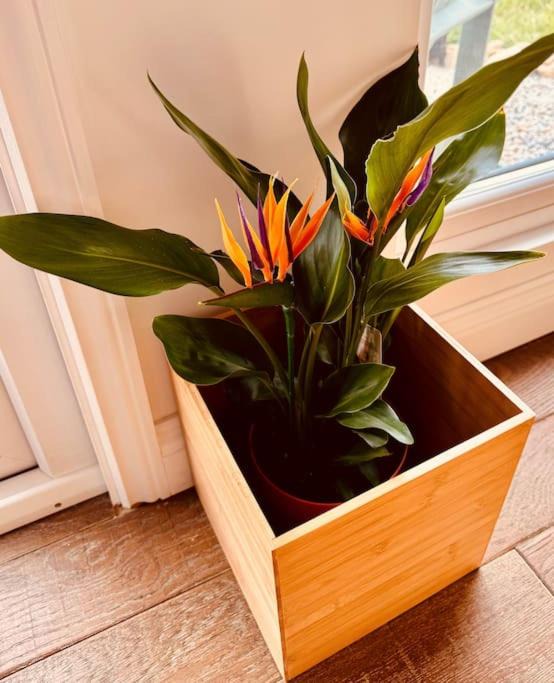 Photo of Others in Helford Passage