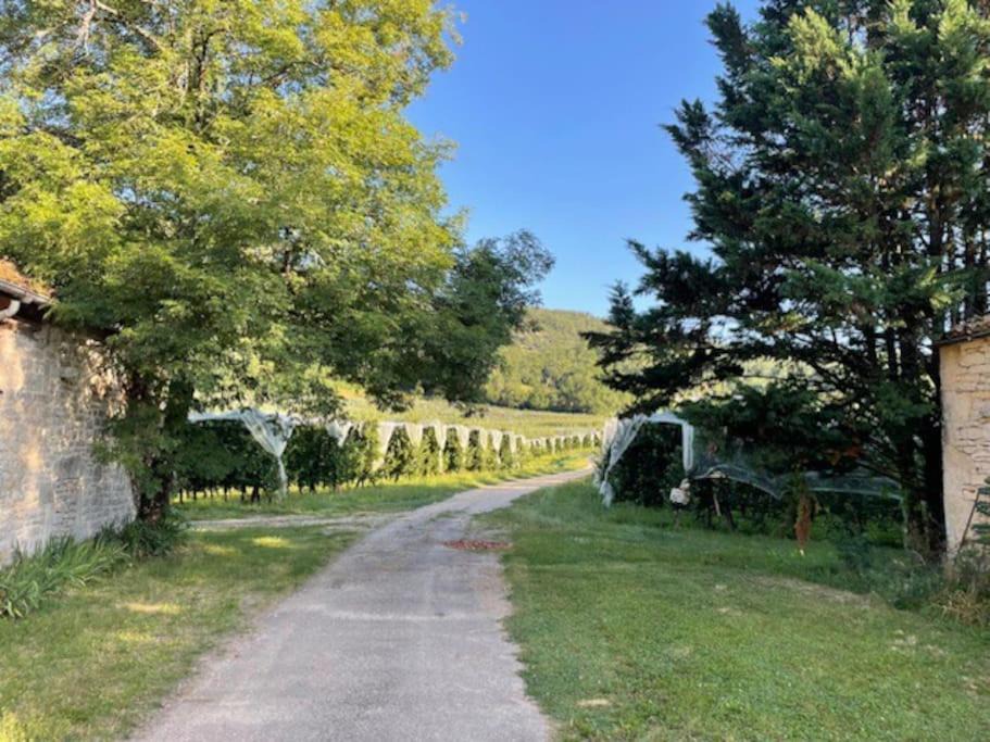 Photo of Others in Penne