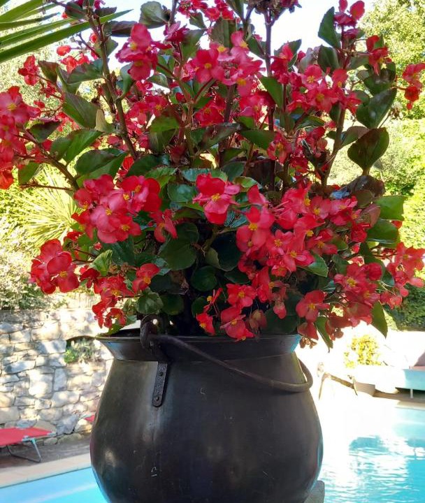 Photo of Others in Buisson