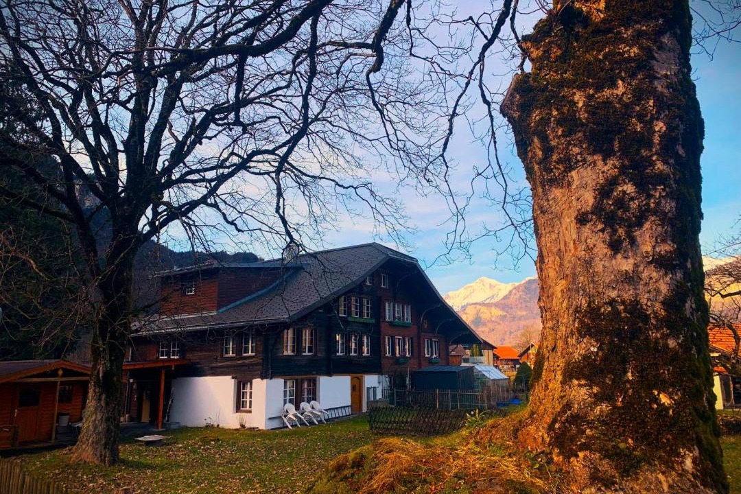 Photo of Others in Martisberg