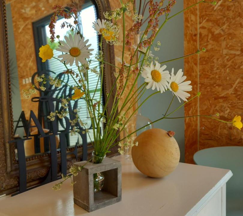 Photo of Others in Savigne-lʼEveque