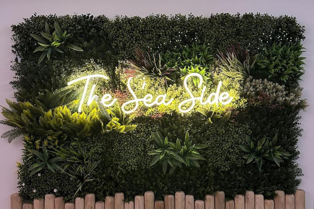 Photo of Others in Port