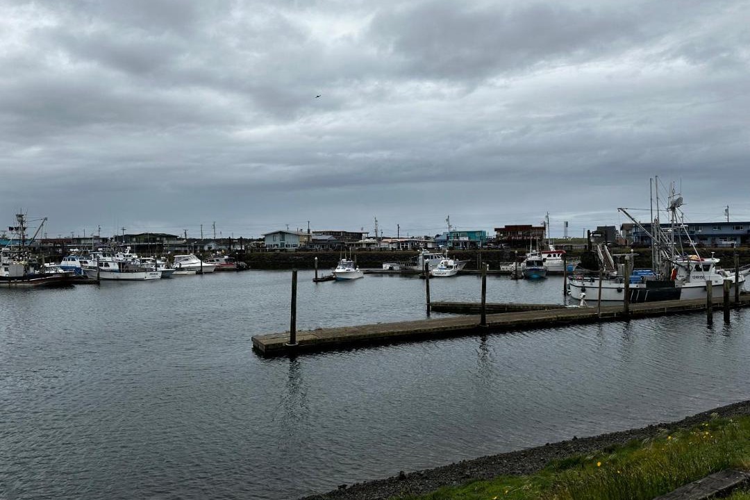 Photo of Outdoor in Westport