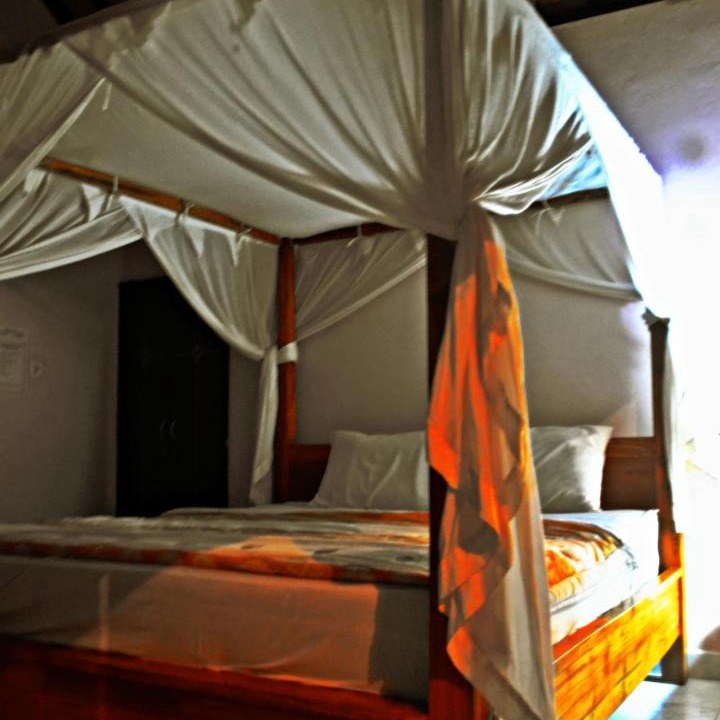 Photo of Others in Amed