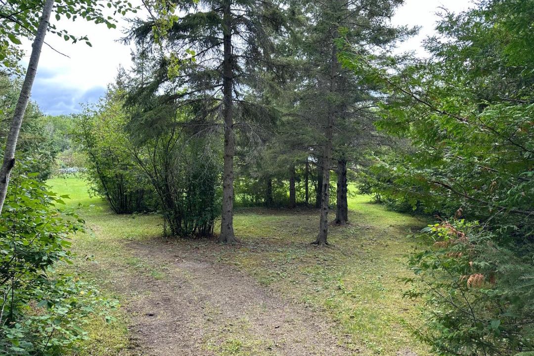 Photo of Others in Temiskaming Shores