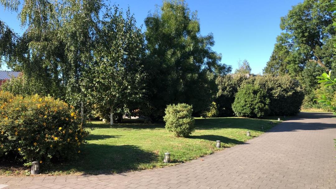 Photo of Outdoor in Ligny-en-Cambresis