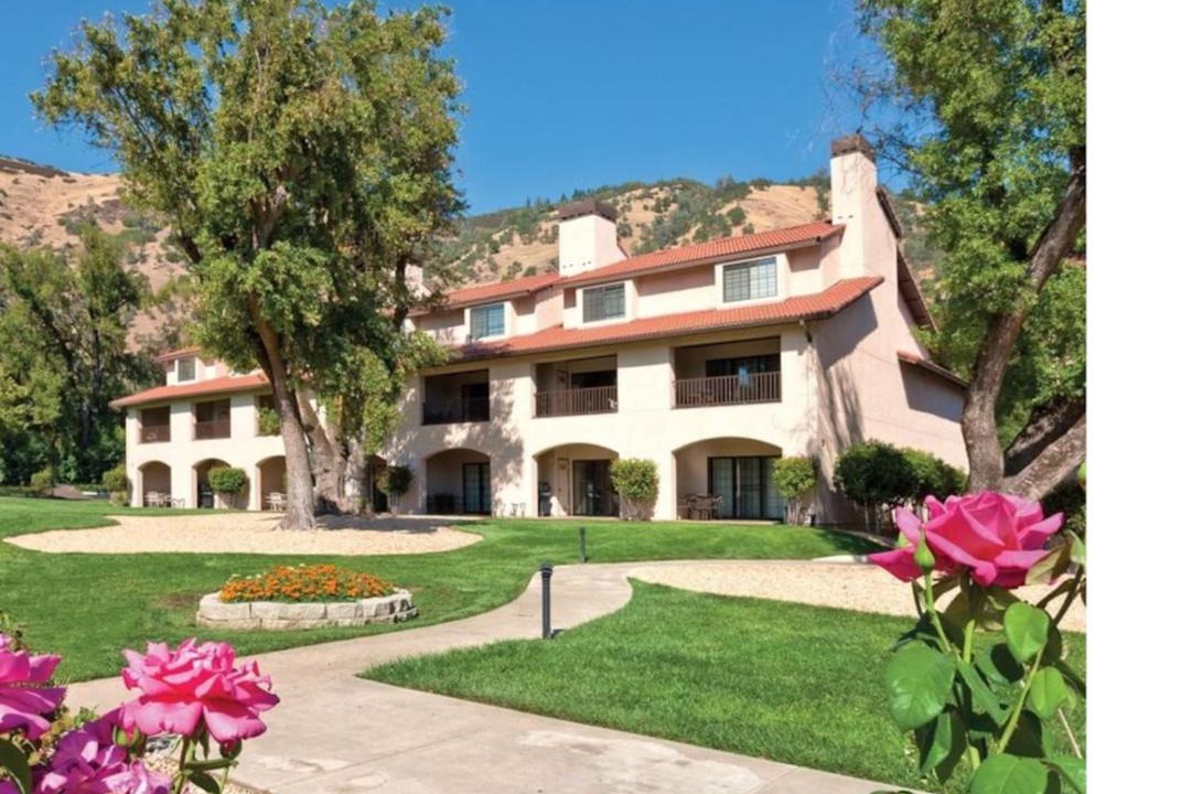 Photo of Others in Nice