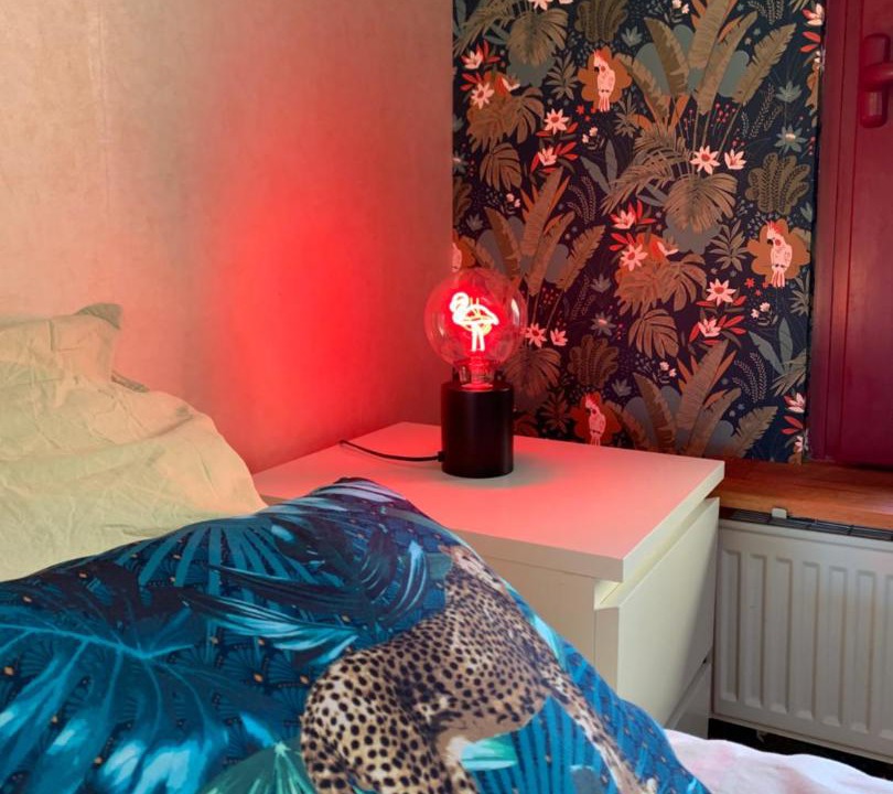 Photo of Bedroom in Bulson