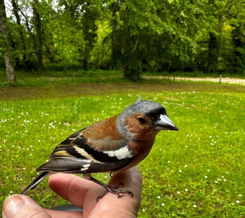 Photo of Others in Fajoles