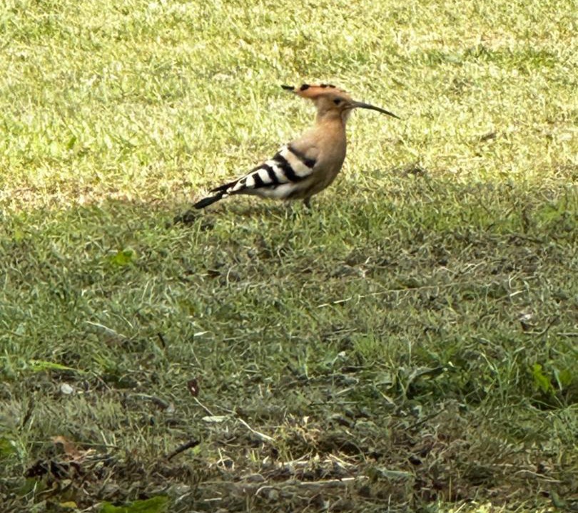 Photo of Others in Fajoles