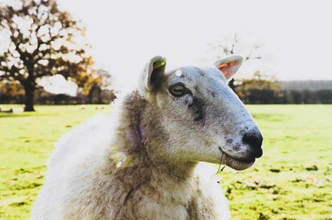 Photo of Others in Storwood