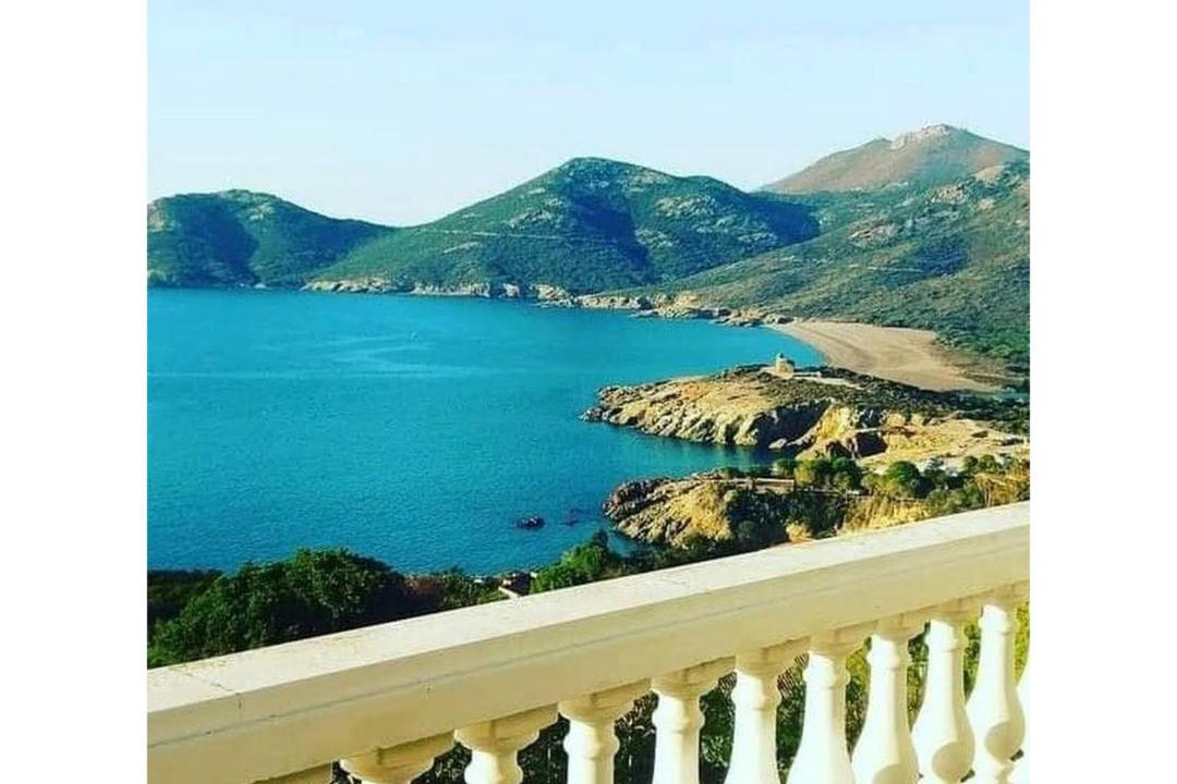 Photo of Others in Galeria