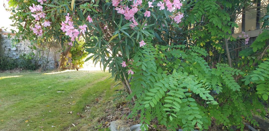 Photo of Outdoor in Quillan