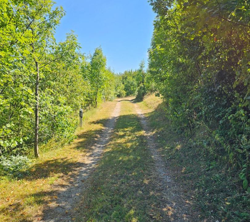 Photo of Outdoor in Josipdol
