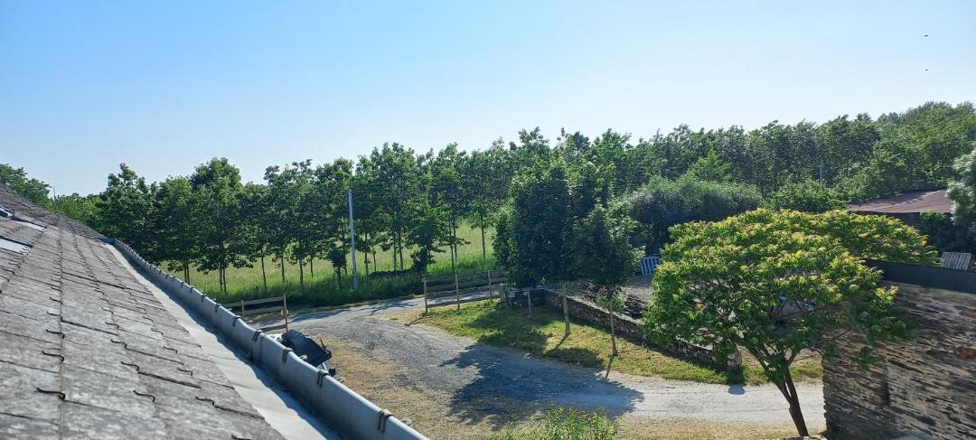 Photo of Others in Freigne