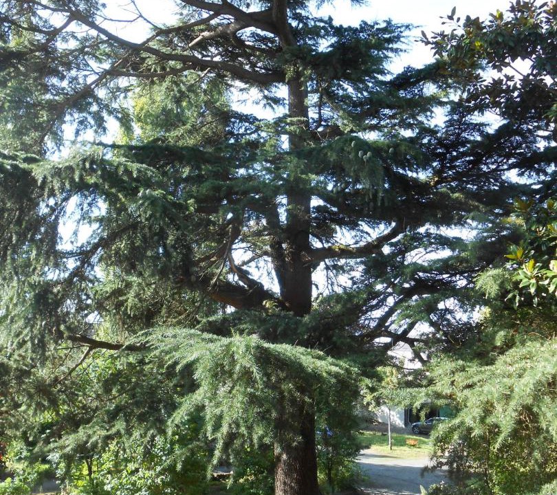 Photo of Others in Bagneux