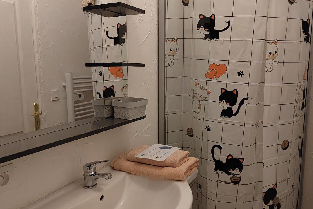 Photo of Bathroom in Auch