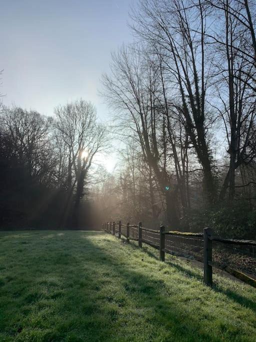 Photo of Others in Busbridge