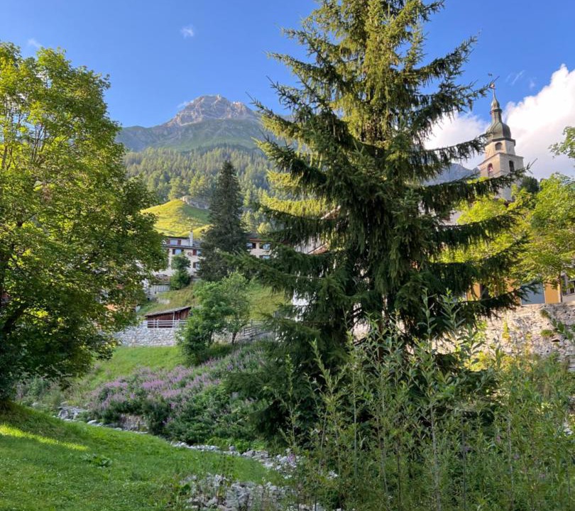 Photo of Others in Spluegen