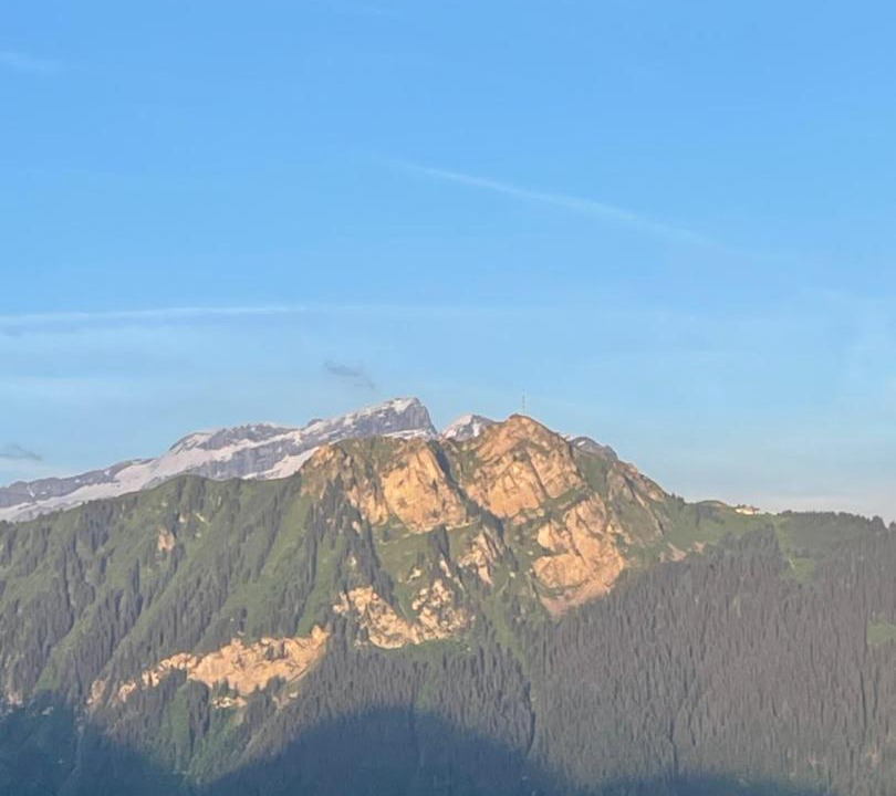 Photo of Others in Leysin