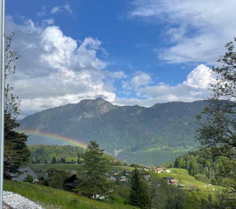 Photo of Others in Leysin