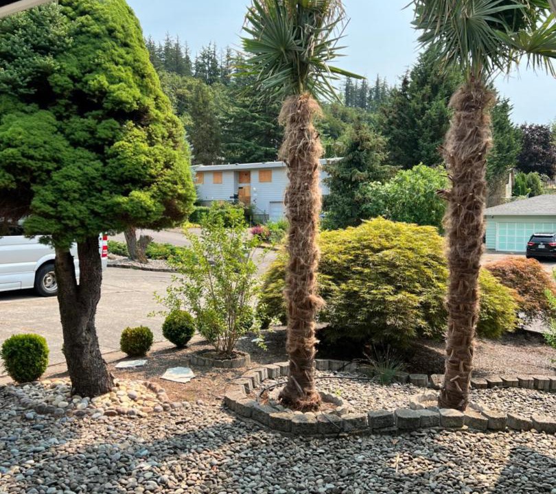 Photo of Others in Lents