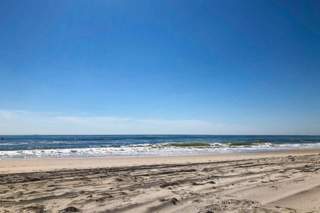 Photo of Others in Ocean Bay Park