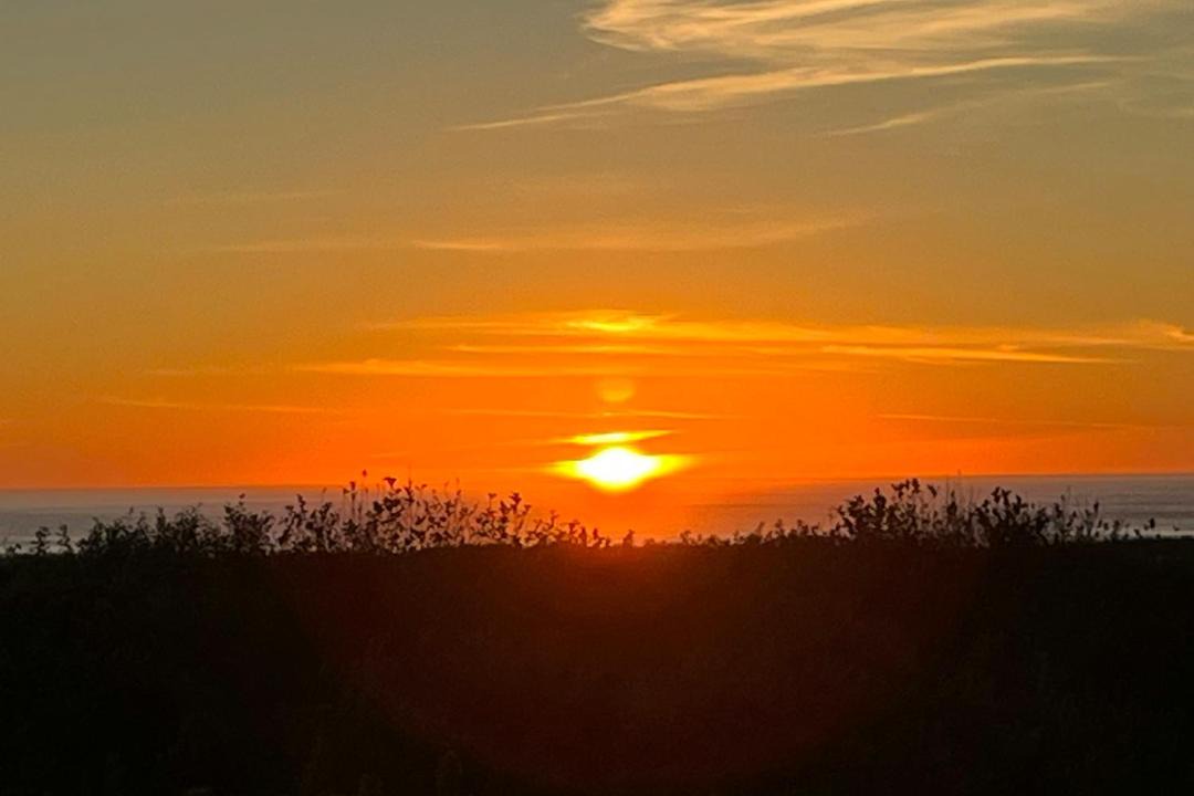 Photo of Others in Copalis Beach