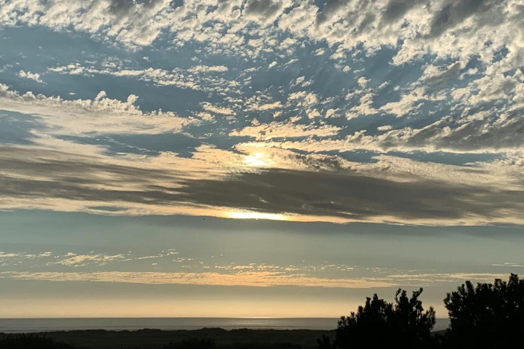 Photo of Others in Copalis Beach