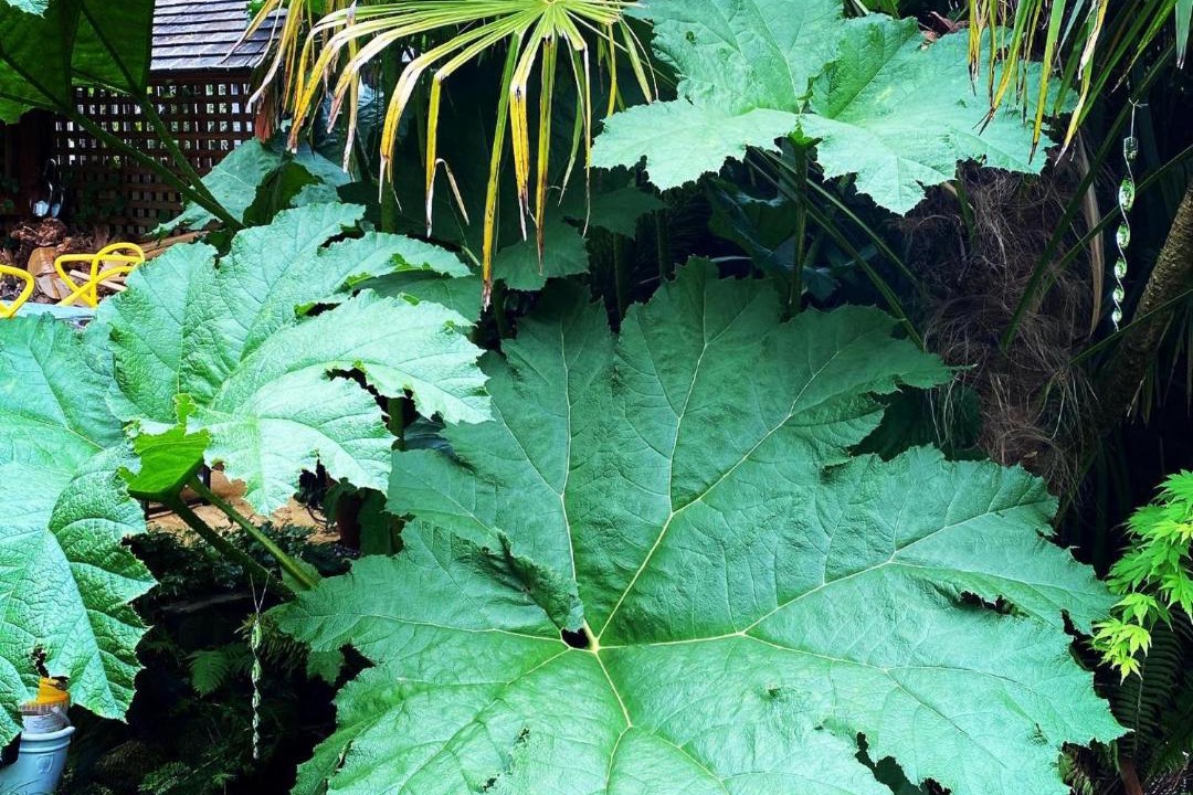 Photo of Others in Hale