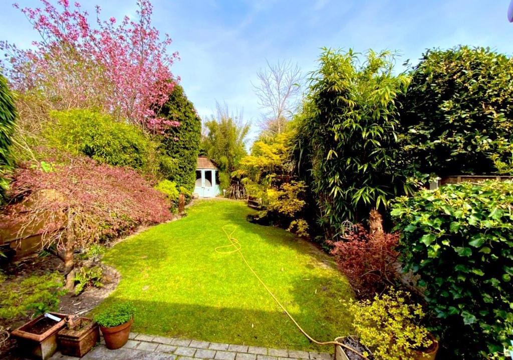 Photo of Others in Hale