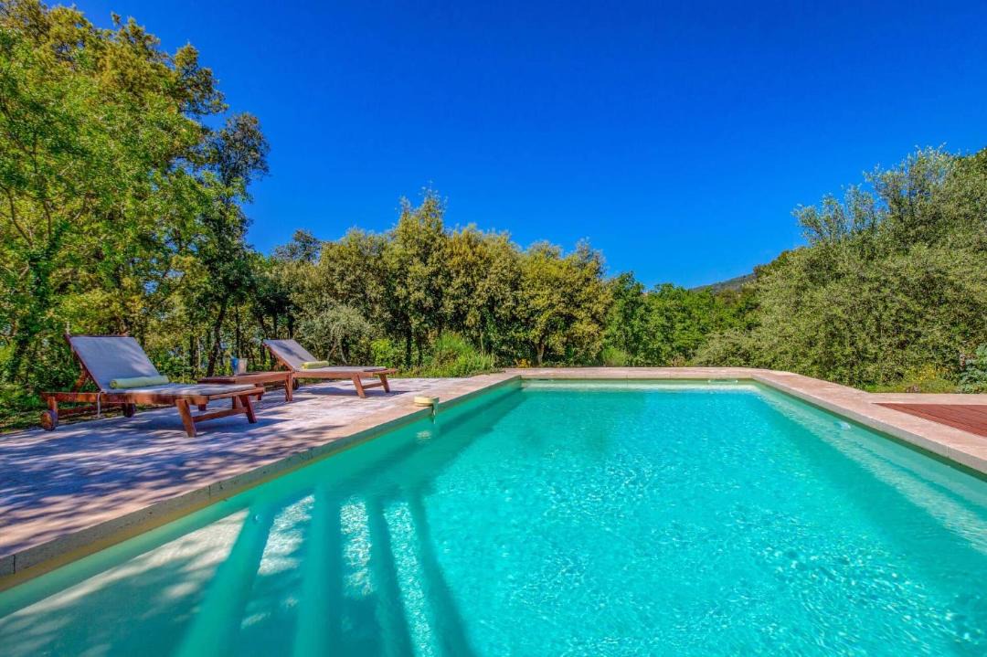 Photo of Others in Cabris