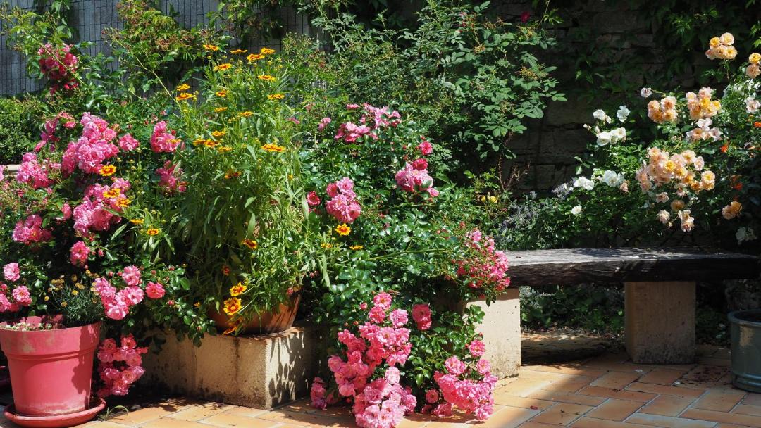 Photo of Others in Noyers-sur-Serein