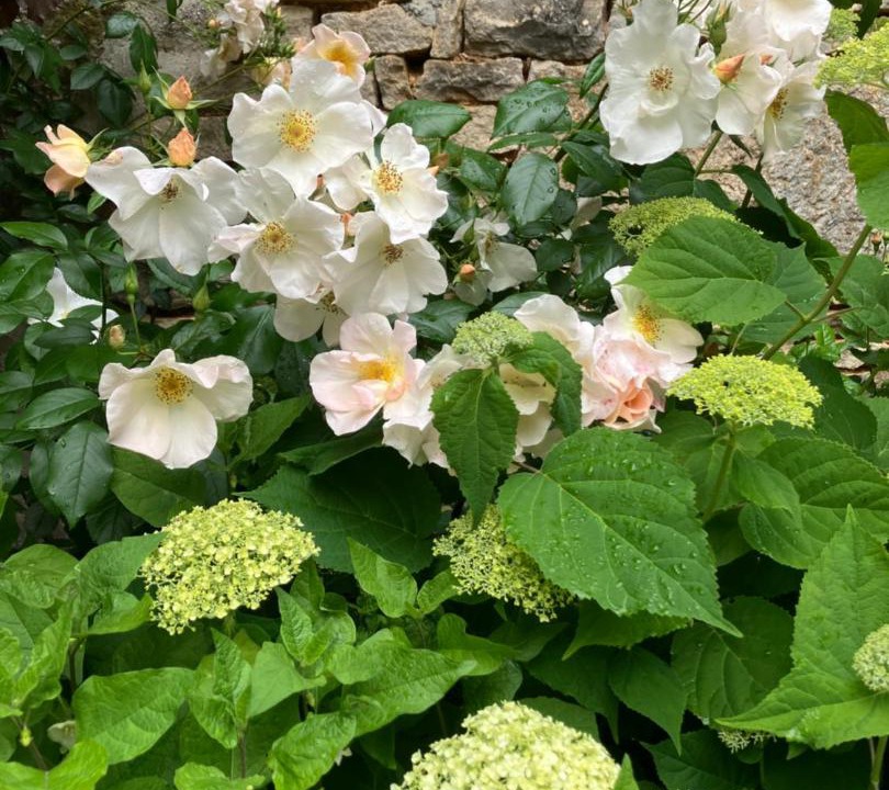 Photo of Others in Noyers-sur-Serein