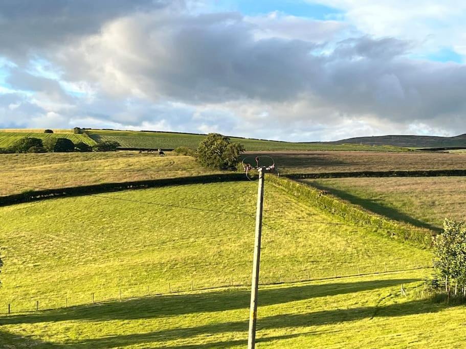 Photo of Others in Cardross