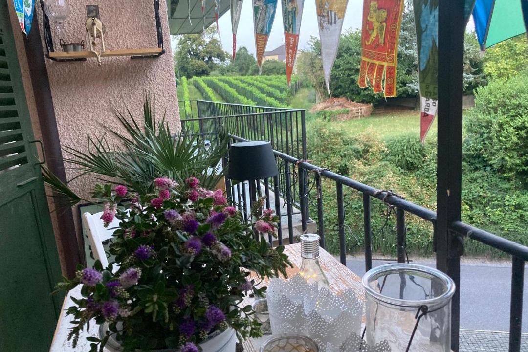 Photo of Others in La Neuveville