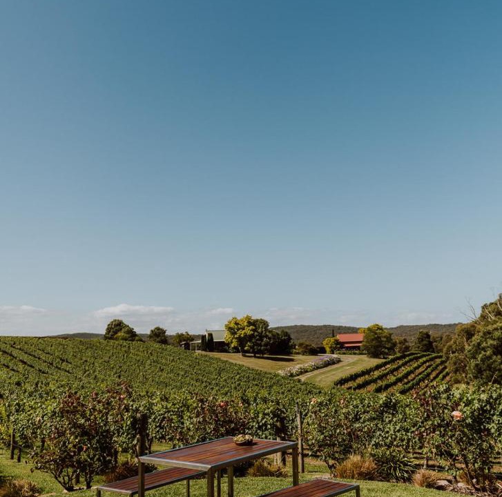 Photo of Outdoor in Willung South