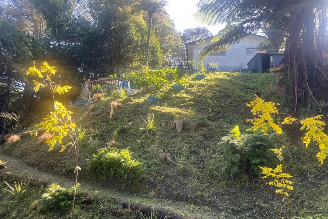 Photo of Others in Hamilton North