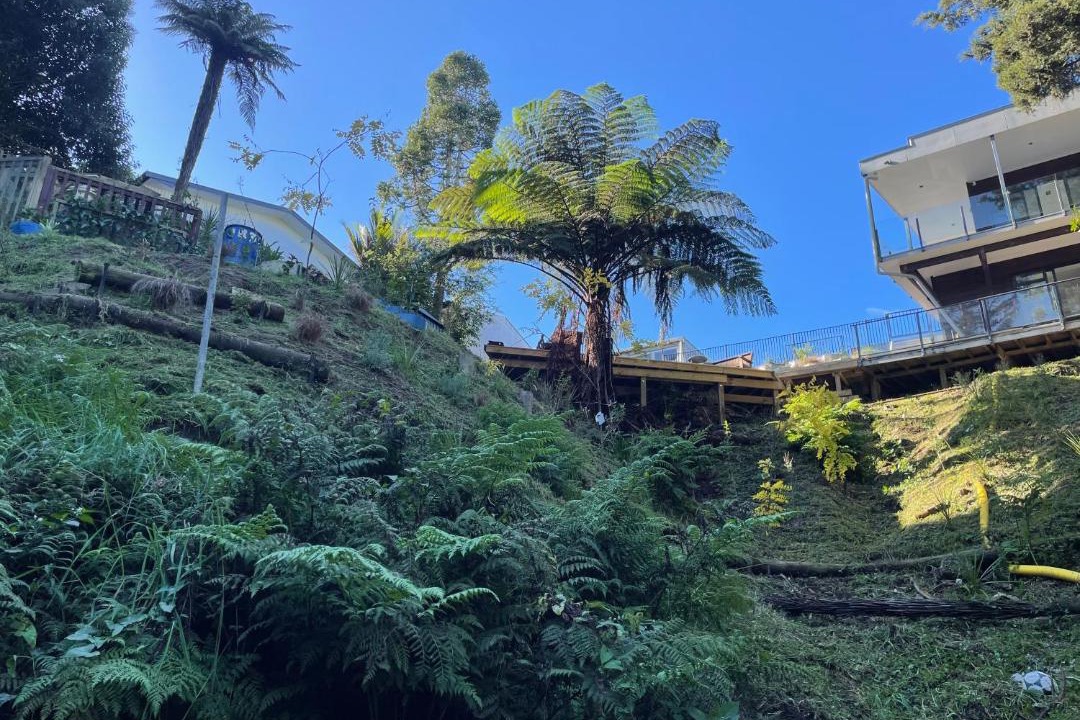 Photo of Others in Hamilton North