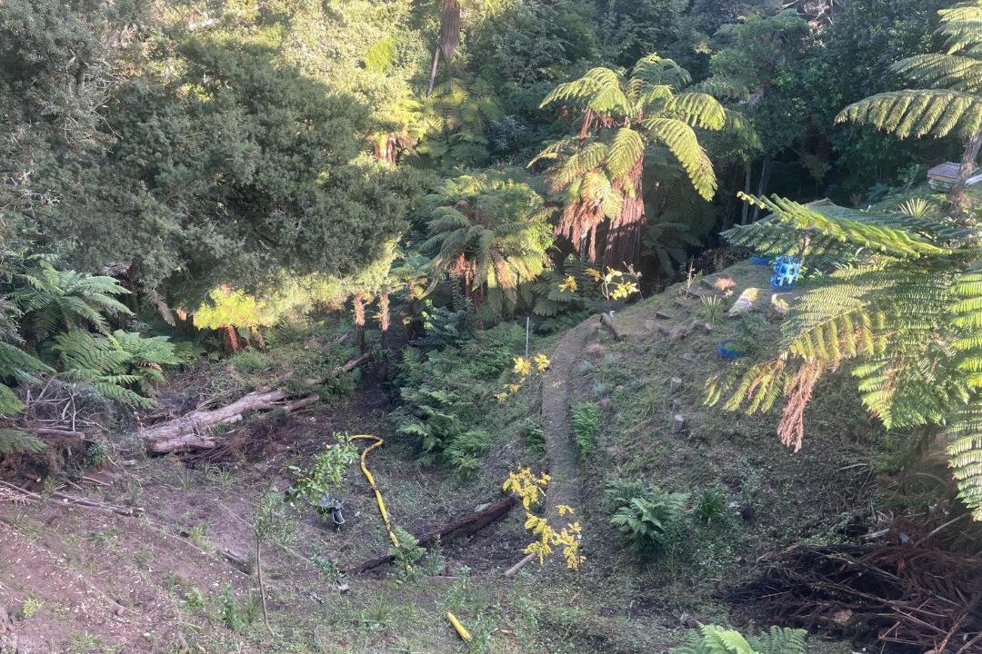 Photo of Others in Hamilton North