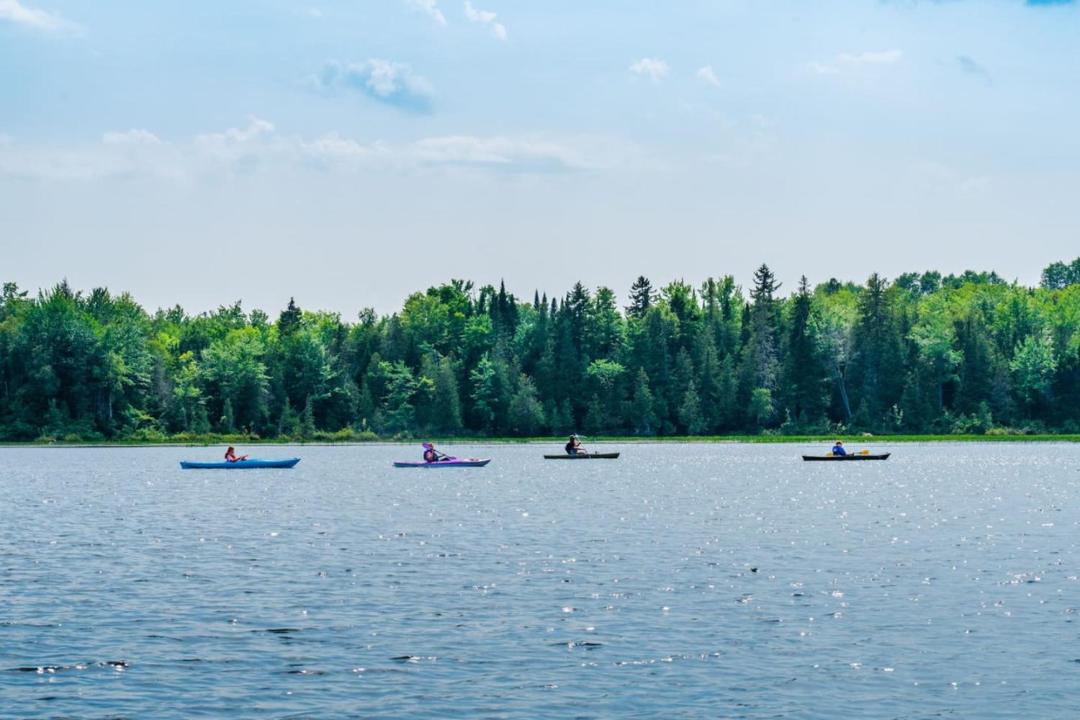 Photo of Others in Guilford