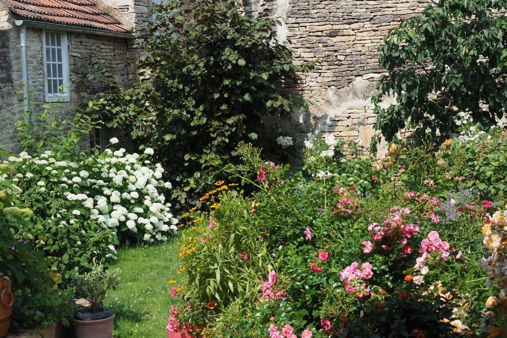 Photo of Others in Noyers-sur-Serein