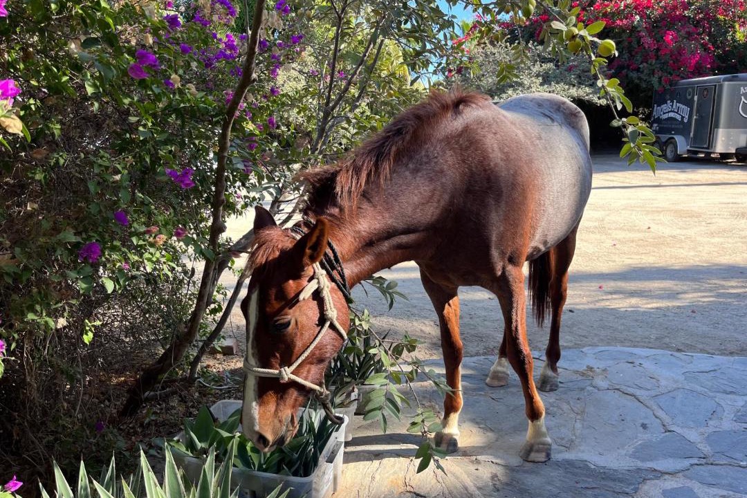 Photo of Others in Cerritos