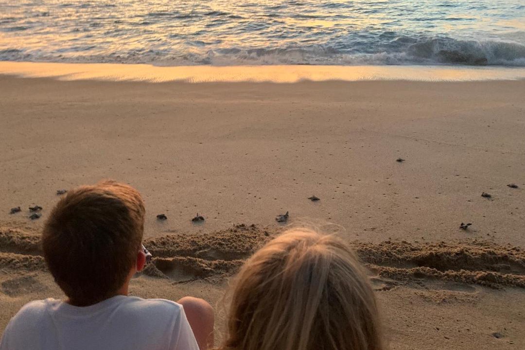 Photo of Others in Cerritos