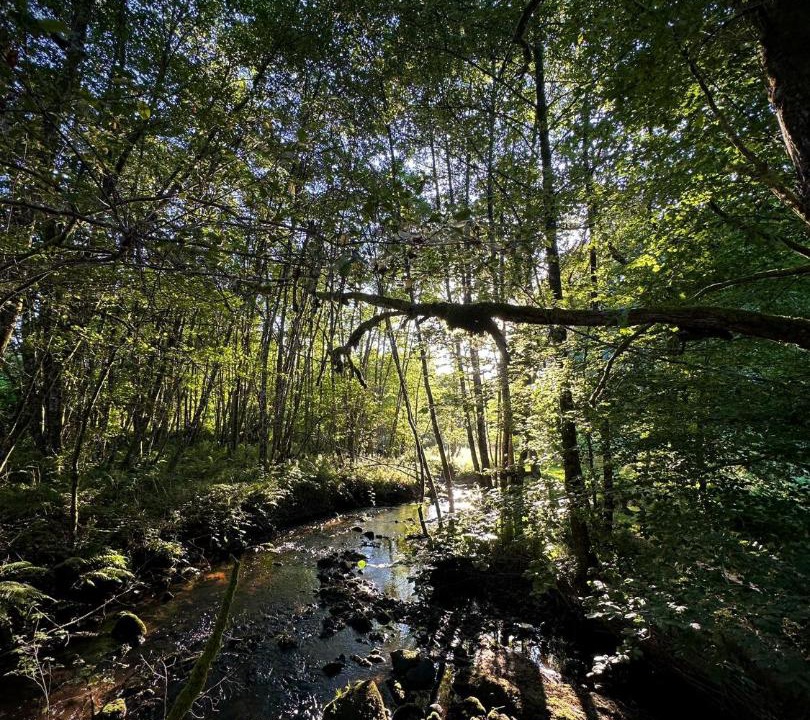 Photo of Others in Vitrac-sur-Montane
