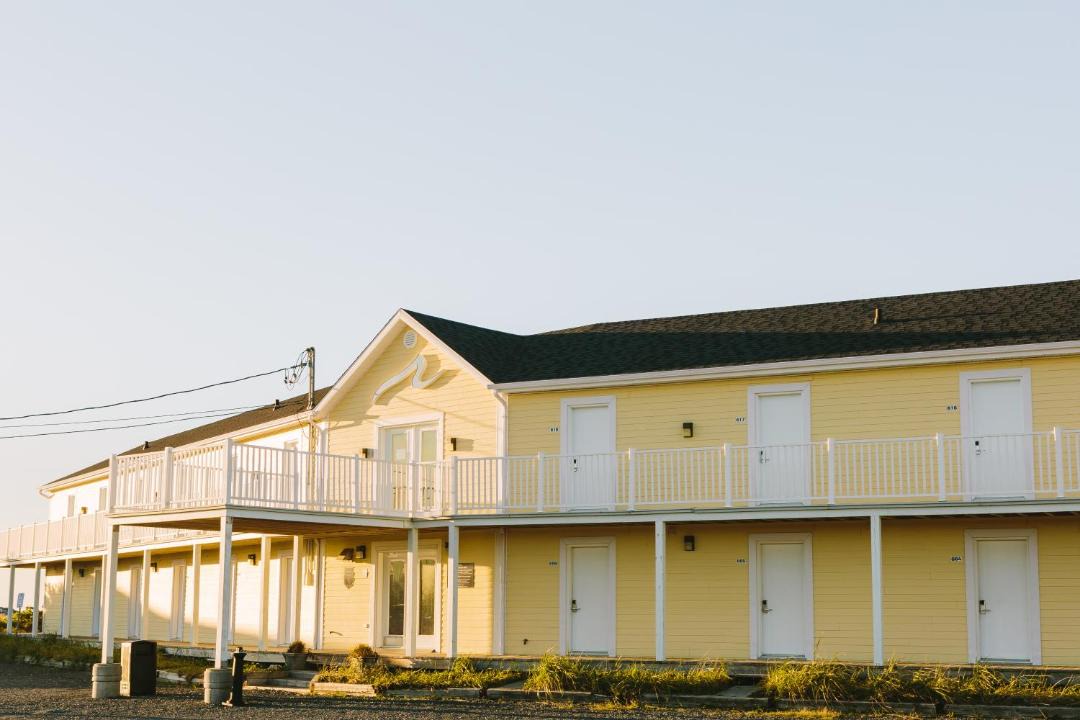 Photo of Others in Matane