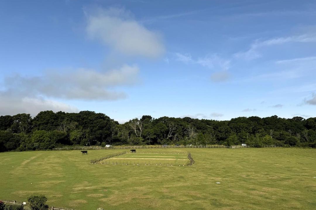 Photo of Others in New Forest District