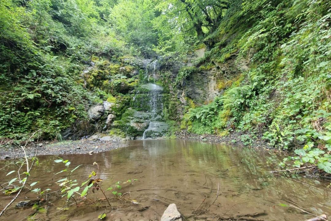 Photo of Others in Lourdios-Ichere