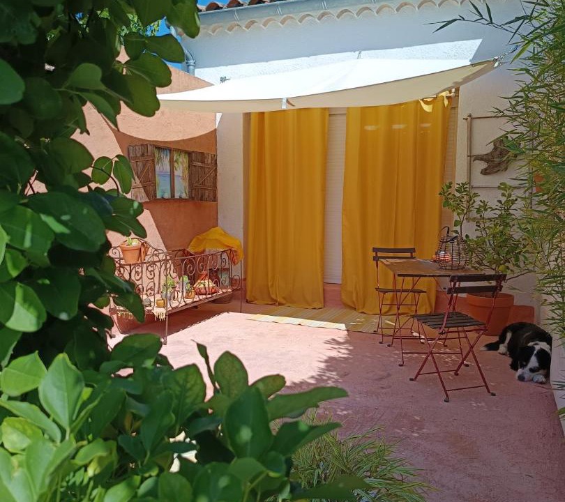 Photo of Others in Chandolas