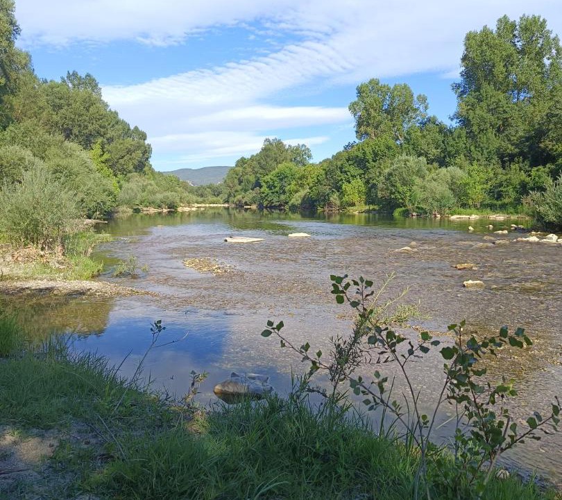 Photo of Others in Chandolas